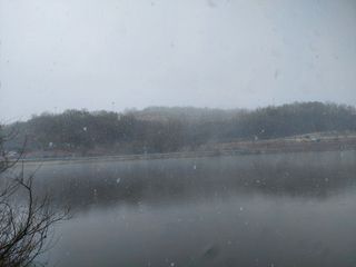 댕이골표영환님의 자유주제 · 사진전 작성글 사진