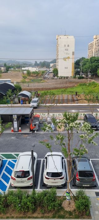 임병권님의 고추 · 병해충상담 작성글 사진