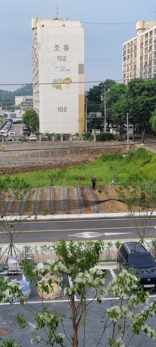 임병권님의 고추 · 병해충상담 작성글 사진