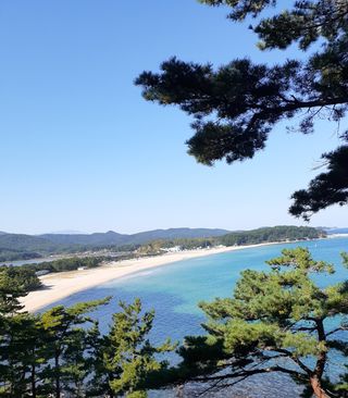 인생은 소풍처럼님의 옥수수 · 자유게시판 작성글 사진