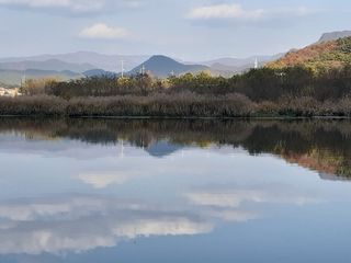 인생은 소풍처럼님의 옥수수 · 자유게시판 작성글 사진
