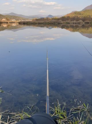 인생은 소풍처럼님의 옥수수 · 자유게시판 작성글 사진