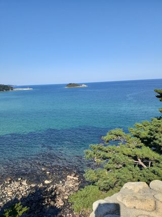 인생은 소풍처럼님의 옥수수 · 자유게시판 작성글 사진