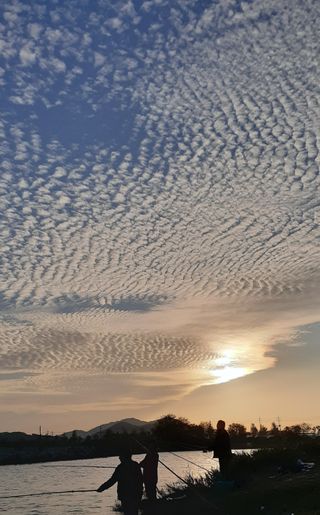 인생은 소풍처럼님의 옥수수 · 자유게시판 작성글 사진