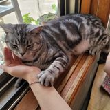 팜모닝 자유주제·사진전 게시글 이미지