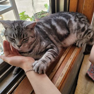 백호순(후추)님의 자유주제 · 사진전 작성글 사진