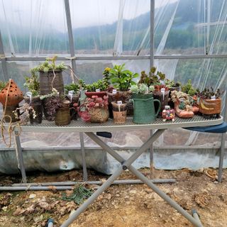 백호순(후추)님의 자유주제 · 사진전 작성글 사진