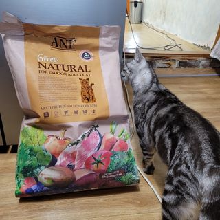 백호순(후추)님의 자유주제 · 사진전 작성글 사진