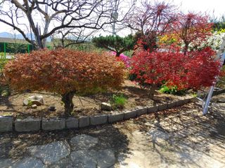 성명제님의 자유주제 · 사진전 작성글 사진