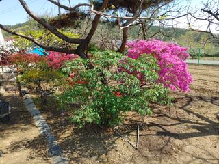 성명제님의 자유주제 · 사진전 작성글 사진