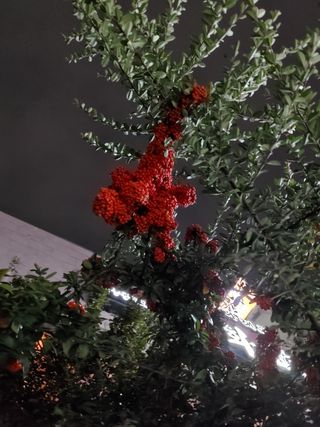 성명제님의 자유주제 · 사진전 작성글 사진