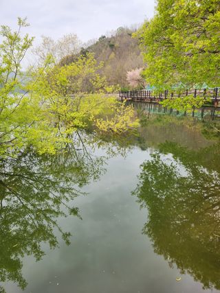 박운용님의 자유주제 · 사진전 작성글 사진