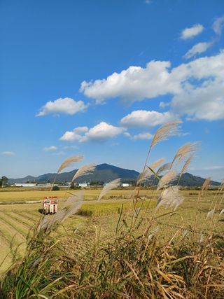 알 수 없음님의 자유주제 · 사진전 작성글 사진