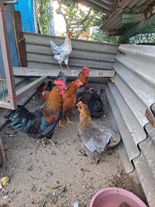 알 수 없음님의 자유주제 · 사진전 작성글 사진
