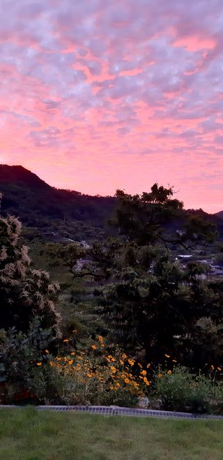 최숙이님의 자유주제 · 사진전 작성글 사진