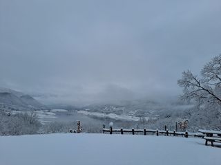 최숙이님의 자유주제 · 사진전 작성글 사진