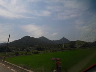 박미스터님의 우리동네 · 동네자랑 작성글 사진