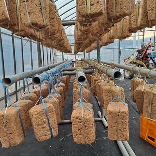 박미스터님의 우리동네 · 동네자랑 작성글 사진