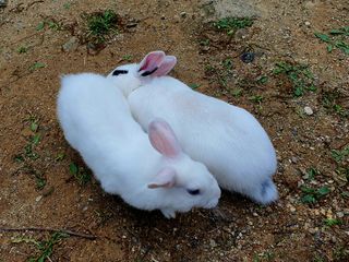 박¿일님의 우리동네 · 동네자랑 작성글 사진