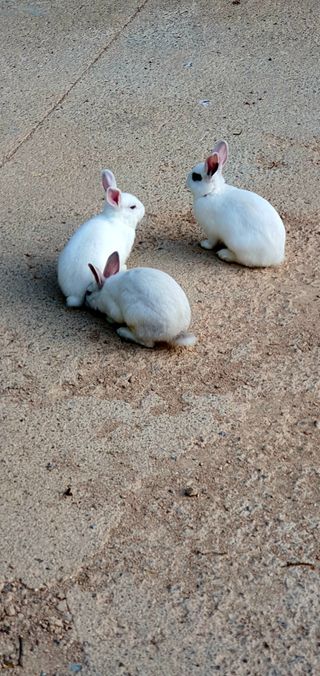 박¿일님의 우리동네 · 동네자랑 작성글 사진