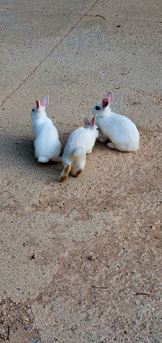 박¿일님의 우리동네 · 동네자랑 작성글 사진