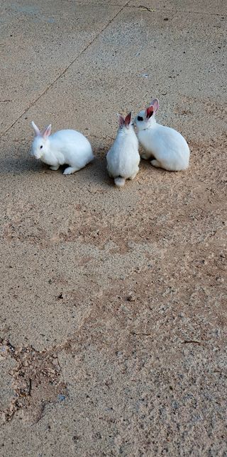 박¿일님의 우리동네 · 동네자랑 작성글 사진