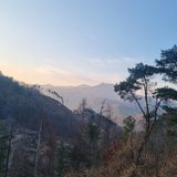 팜모닝 자유주제·사진전 게시글 이미지