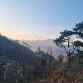 이정식님의 자유주제 · 사진전 작성글 사진