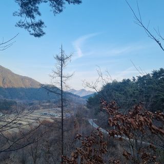 이정식님의 자유주제 · 사진전 작성글 사진