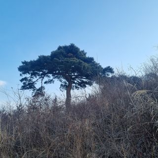 이정식님의 자유주제 · 사진전 작성글 사진