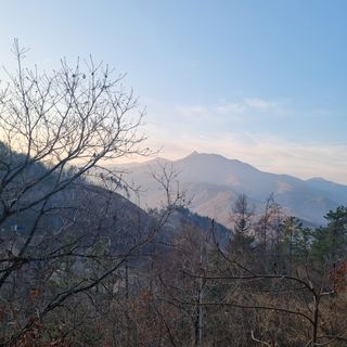 이정식님의 자유주제 · 사진전 작성글 사진