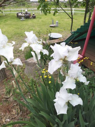 유석범님의 자유주제 · 자유게시판 작성글 사진