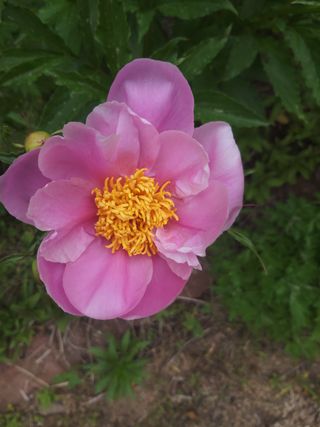 유석범님의 자유주제 · 자유게시판 작성글 사진