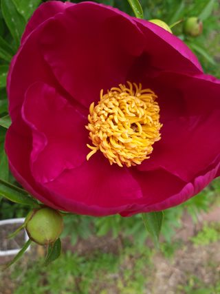 유석범님의 자유주제 · 자유게시판 작성글 사진