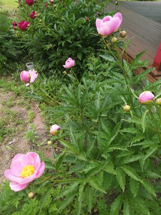 유석범님의 자유주제 · 자유게시판 작성글 사진