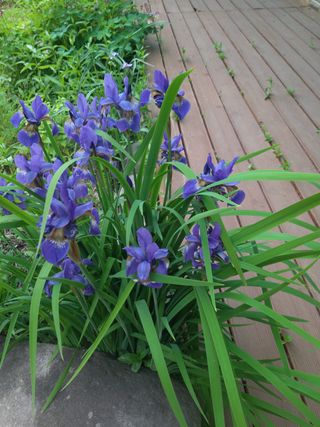 유석범님의 자유주제 · 자유게시판 작성글 사진