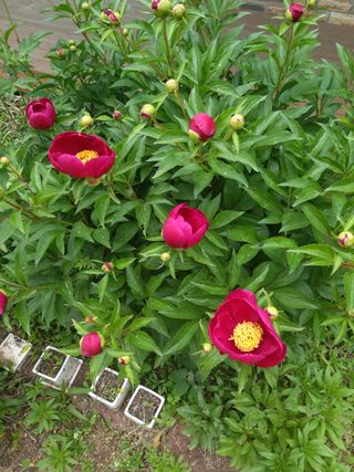 유석범님의 자유주제 · 자유게시판 작성글 사진