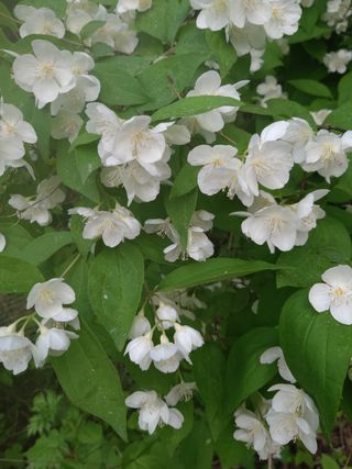 유석범님의 자유주제 · 자유게시판 작성글 사진