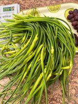 팜모닝 마늘·마늘 쪽 비대기 게시글 이미지