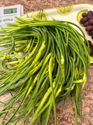 신종우님의 마늘 · 마늘 쪽 비대기 작성글 사진