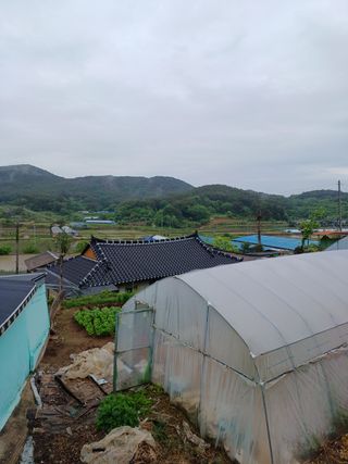 귀농4년차님의 자유주제 · 사진전 작성글 사진