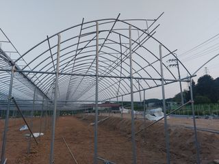 오두환님의 자유주제 · 사진전 작성글 사진