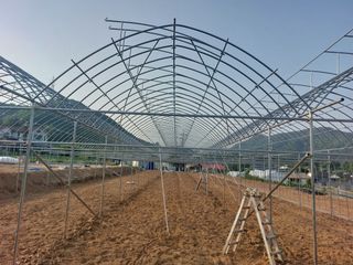 오두환님의 자유주제 · 사진전 작성글 사진