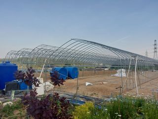 오두환님의 자유주제 · 사진전 작성글 사진