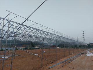 오두환님의 자유주제 · 사진전 작성글 사진