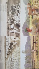 팜모닝 우리동네·동네자랑 게시글 이미지