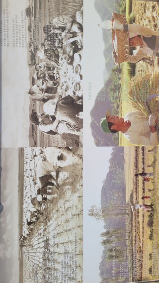 사이공박님의 우리동네 · 동네자랑 작성글 사진