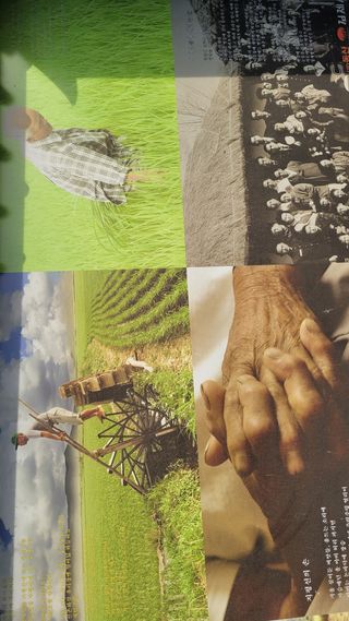 사이공박님의 우리동네 · 동네자랑 작성글 사진