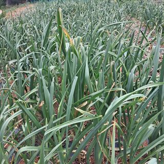 김복실님의 자유주제 · 자유게시판 작성글 사진