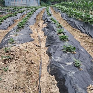 김복실님의 자유주제 · 자유게시판 작성글 사진